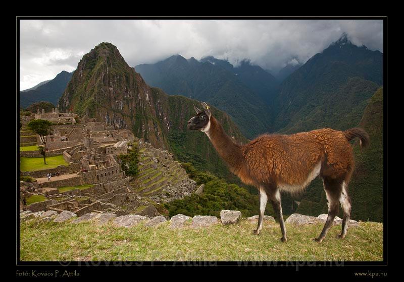 Machu Piccu 077.jpg